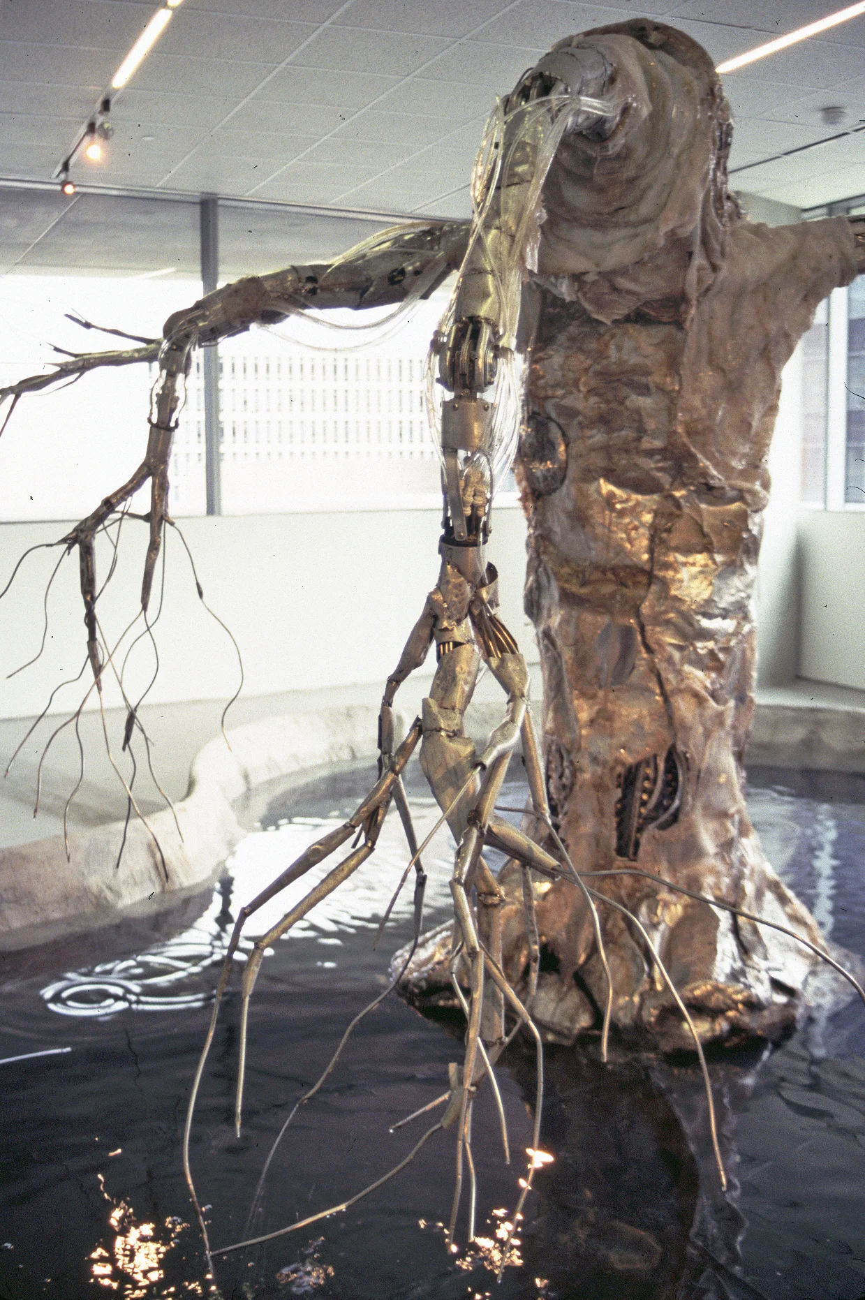 Growing Raining Tree — Chico MacMurtrie